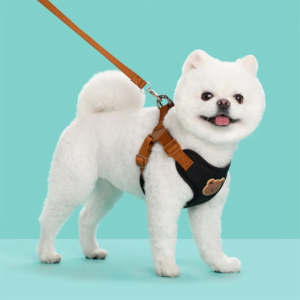 Black no-pull dog harness with brown leash, worn on a small white dog