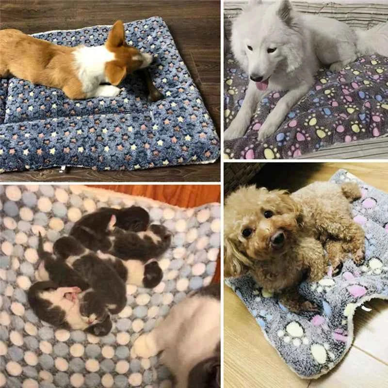 Flannel pet sleeping mat, blue star pattern, pets resting on the plush surface