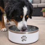 White stainless steel feeder bowl with paw print, water visible