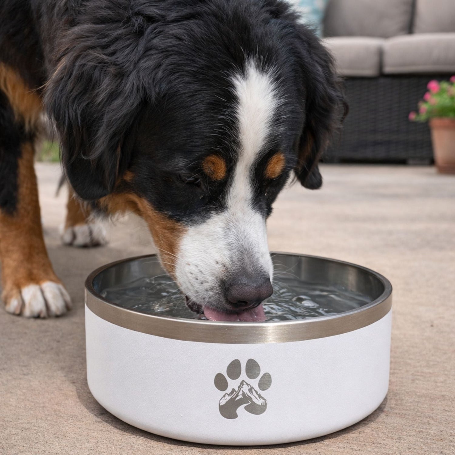 White stainless steel feeder bowl with paw print, water visible
