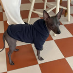 Navy dog hoodie with hood and front pocket on a standing dog