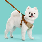 Beige no-pull dog harness with brown leash, worn on a small white dog