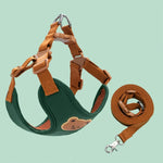 No-pull dog harness and leash set, green padded chest, brown straps and matching leash