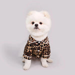 Leopard-print pet pajama set on small dog, button front and matching shorts