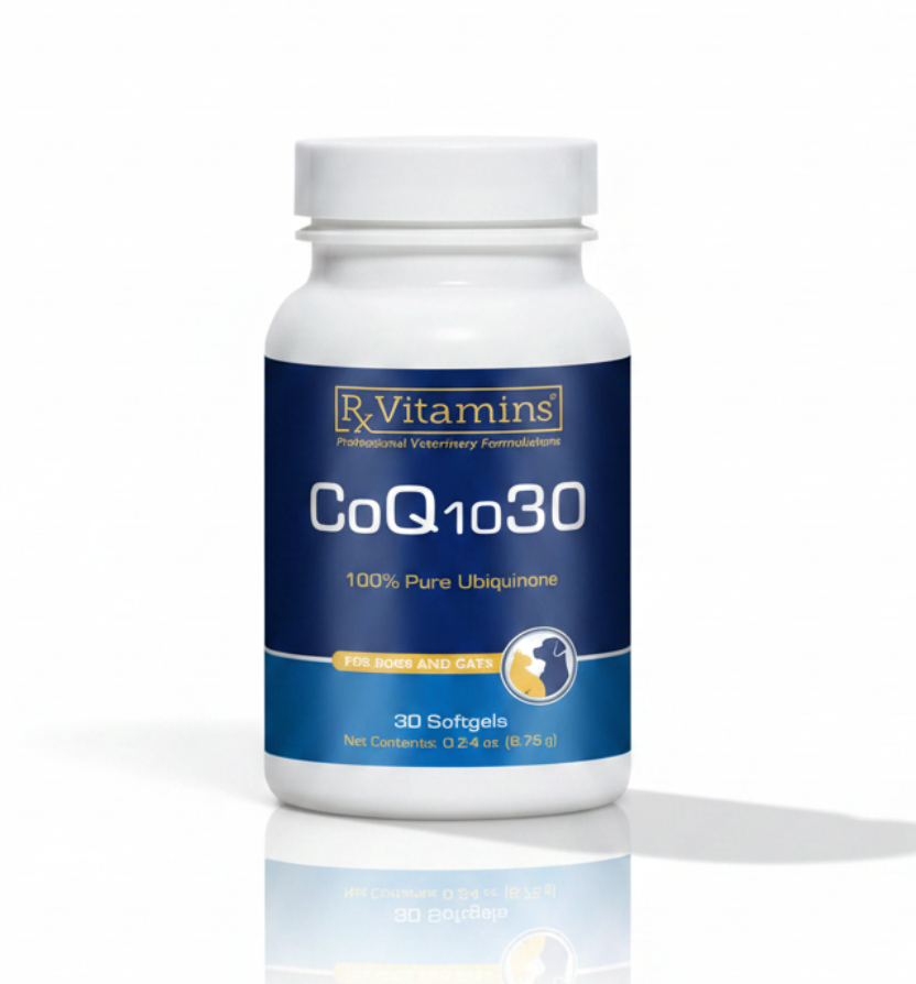 CoQ10 30 softgels pet supplement bottle with 100% pure ubiquinone label