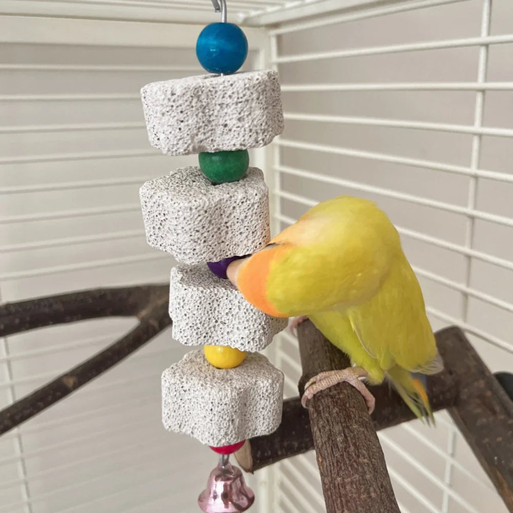 Volcanic rock parrot chew toy with colorful beads and bell charm on wooden perch