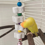 Volcanic rock parrot chew toy with colorful beads and bell charm on wooden perch