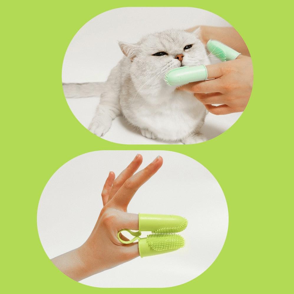 Pet silicone finger toothbrush in light green, used brushing a cat’s teeth and gums.