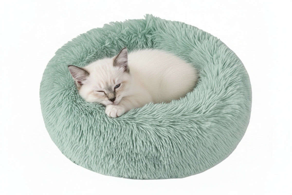 Plush round donut pet bed, mint green shag cushion with sleeping cat