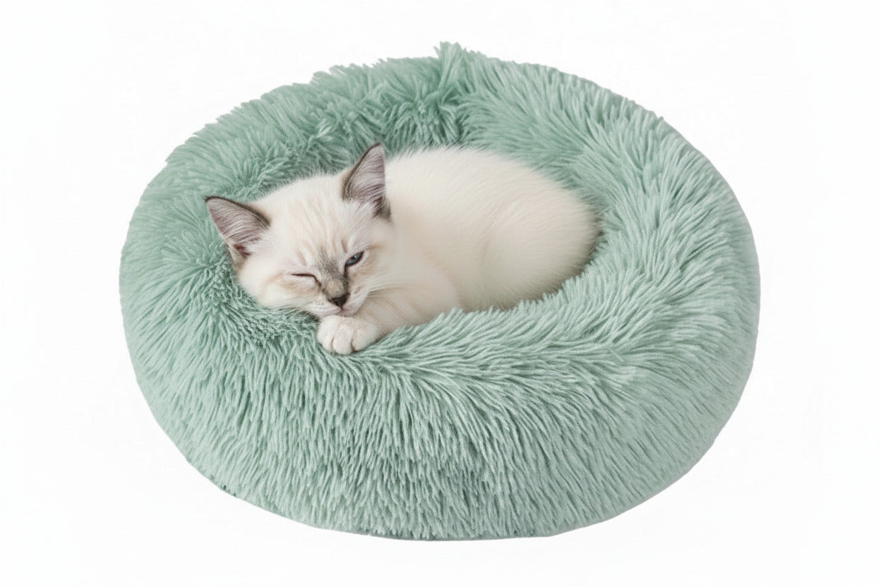 Plush round donut pet bed, mint green shag cushion with sleeping cat