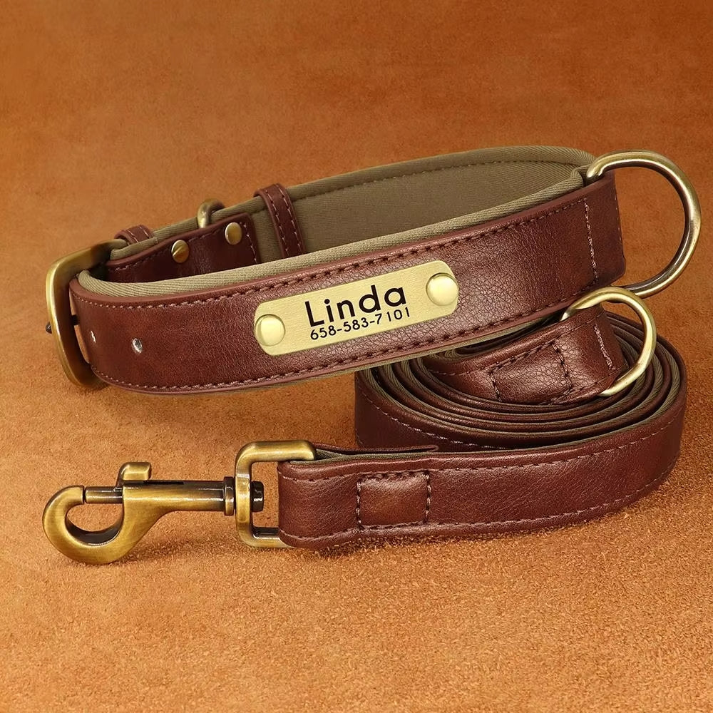 Brown dog collar with engraved ID name plate and gold-tone D-ring buckle