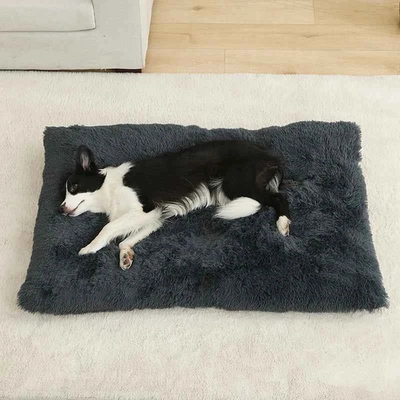 Dark gray plush pet sofa bed with shag texture, with black-and-white dog resting
