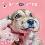 Waterless shampoo and conditioner use step with hand gently rubbing a dog’s fur