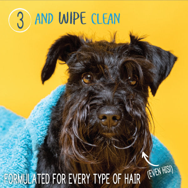 Waterless shampoo and conditioner use step with dog wrapped in a blue towel