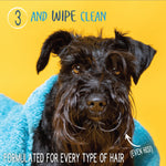Waterless shampoo and conditioner use step with dog wrapped in a blue towel
