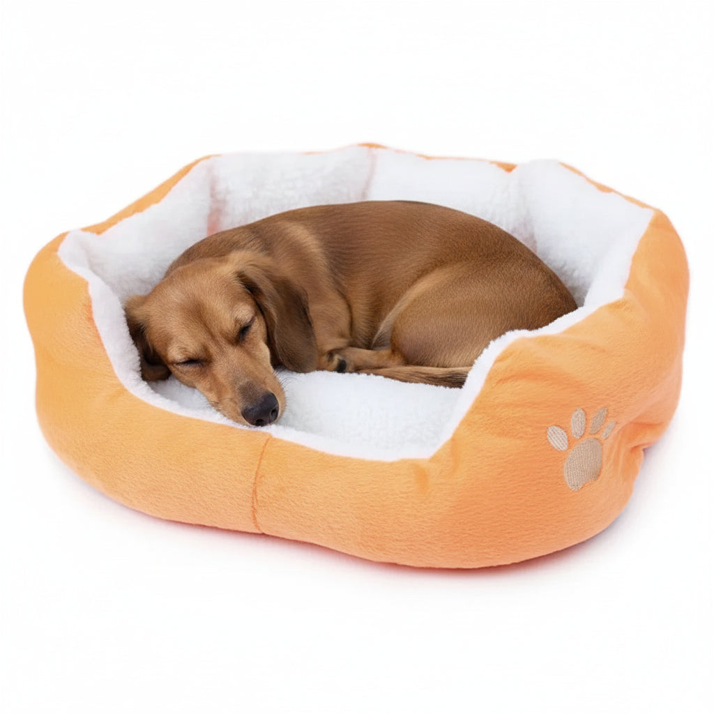 Orange round pet bed with white plush liner and paw emblem, brown dog sleeping inside
