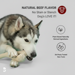 Beef-flavored natural bone chew toy with textured nubs on both ends.