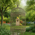 Cedar bird house with metal cage surround and small wooden nest box