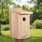 Light wood bird house with round entrance hole and flat roof ledge
