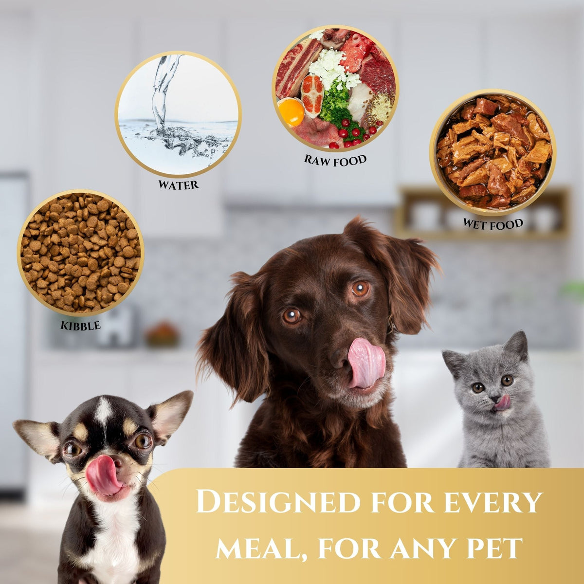 Black ceramic pet bowl with gold marble design, shown with multiple pet feeding icons