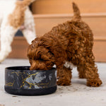 Black ceramic pet bowl with gold marble design, beside a brown curly dog