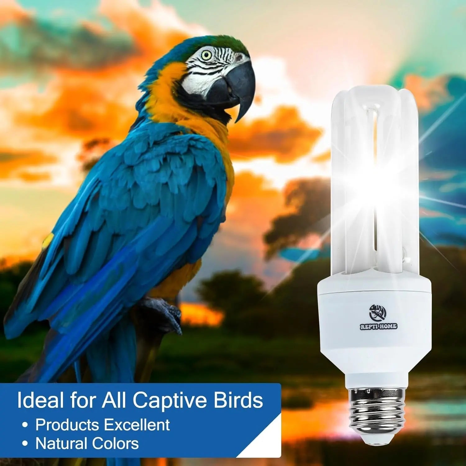 Compact fluorescent bird light bulb on E27 screw base with two white tubes