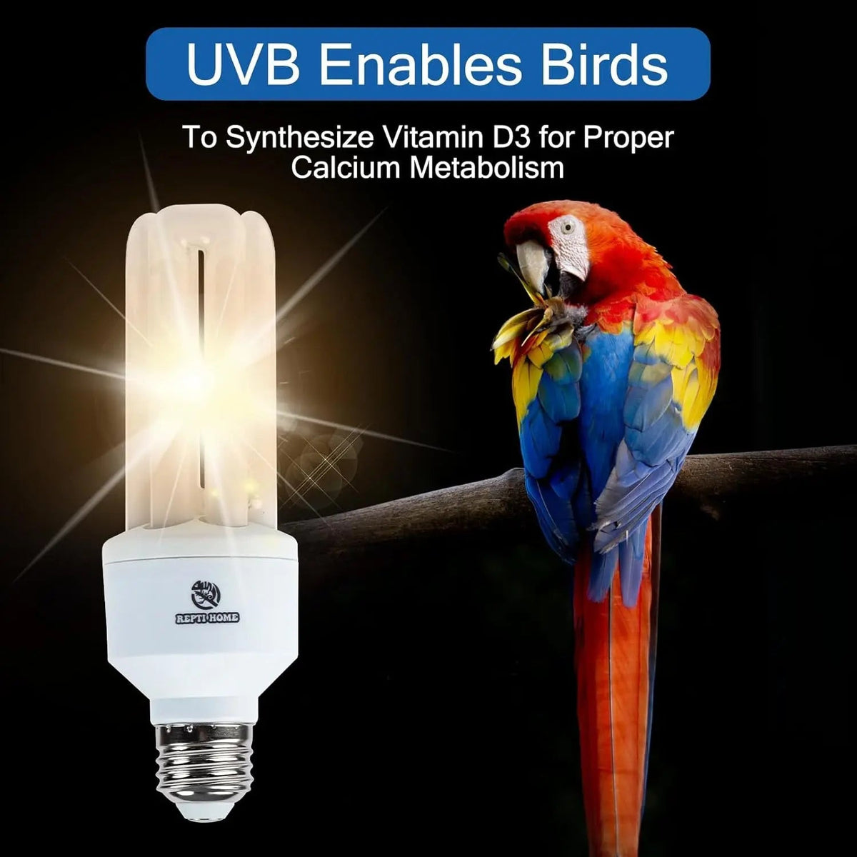 Compact fluorescent bird UVB bulb with two white tubes and silver screw base