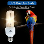 Compact fluorescent bird UVB bulb with two white tubes and silver screw base