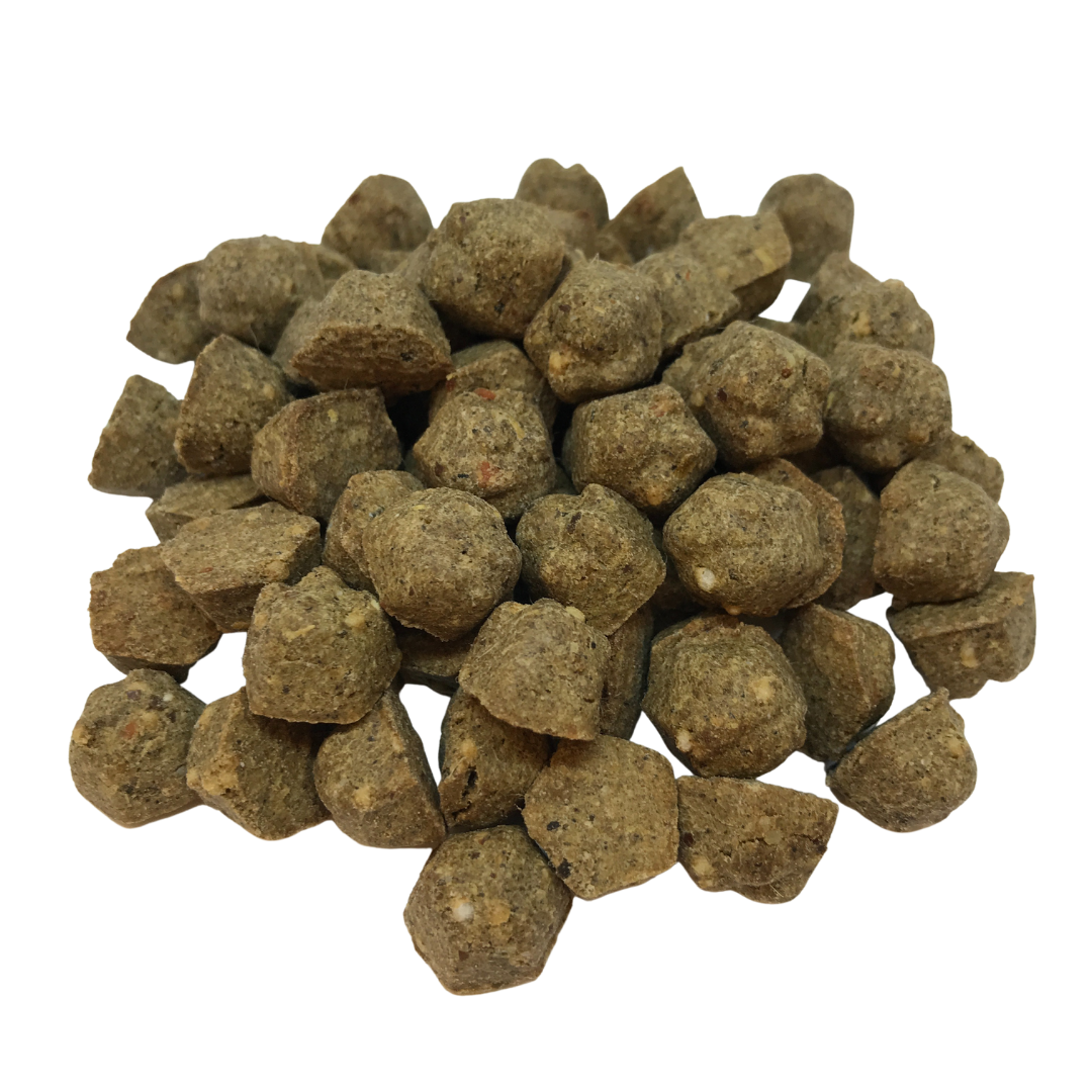 Baked lamb recipe dog food kibble pieces in small round nuggets