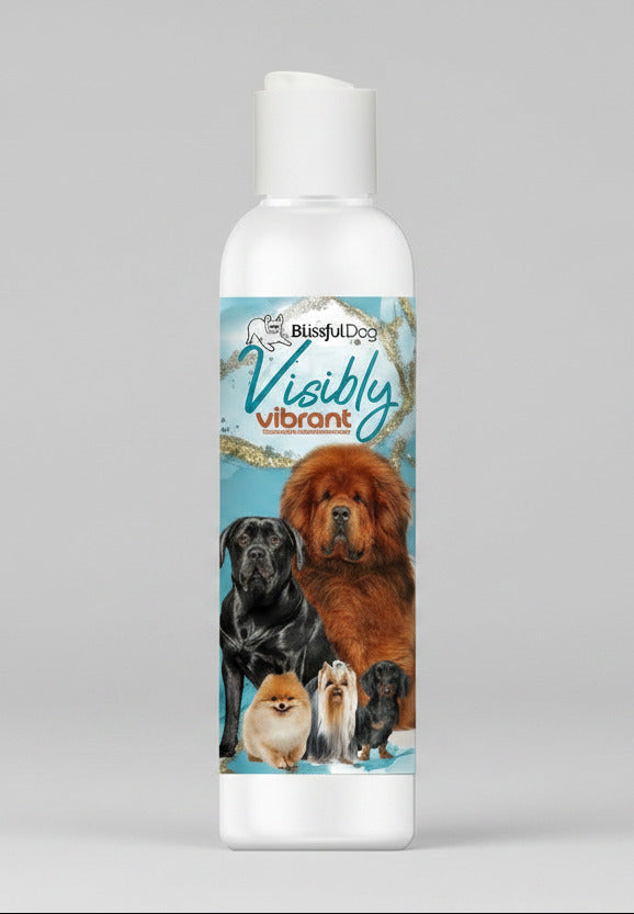 BlissfulDog visibly vibrant pet shampoo bottle, white cap, dog-and-cat label.