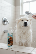 Color-enhancing pet shampoo bottle with dog and cat label, white cap on counter.