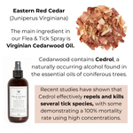 Cedarwood ingredient graphic with flea and tick spray bottle, front label