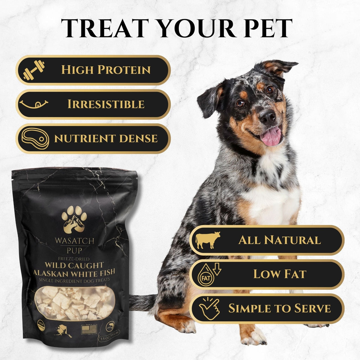 Freeze-dried fish treat pouch beside a dog with high-protein and low-fat icons
