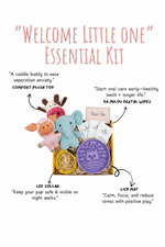 Baby welcome gift set in a box with plush toys, purple lick mat, wipes, and ring toy