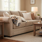 Kong Wild Knots bear plush with gray fur and yellow rope-knot details