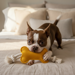 Yellow felt knot bone dog toy with rope ends