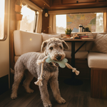 Light blue felt knot bone dog toy with rope ends