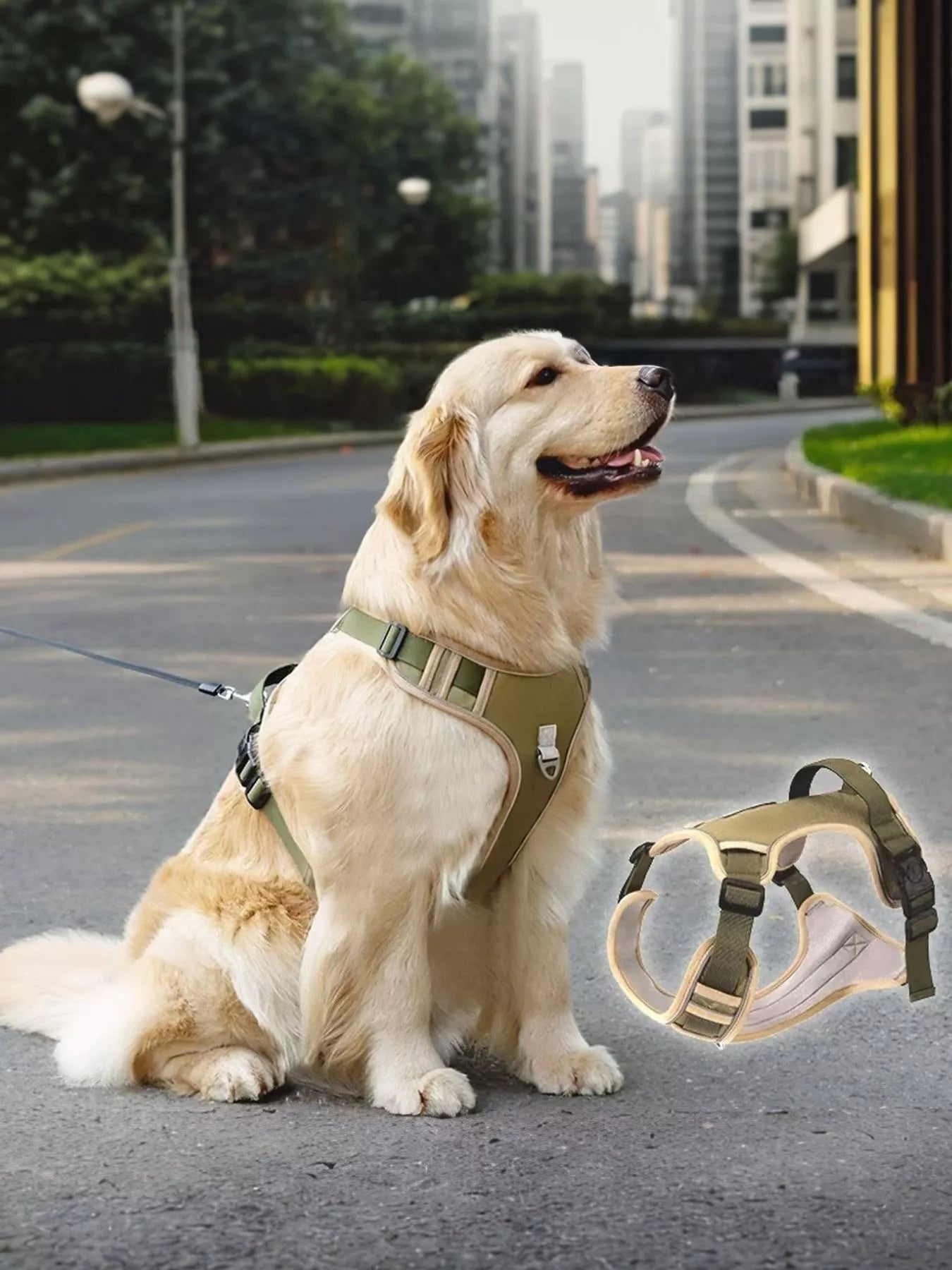 Adjustable pet harness in olive green, side view with padded chest panel and leash clip