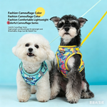 Two dogs wearing camouflage reflective harnesses with leashes, blue and yellow sets
