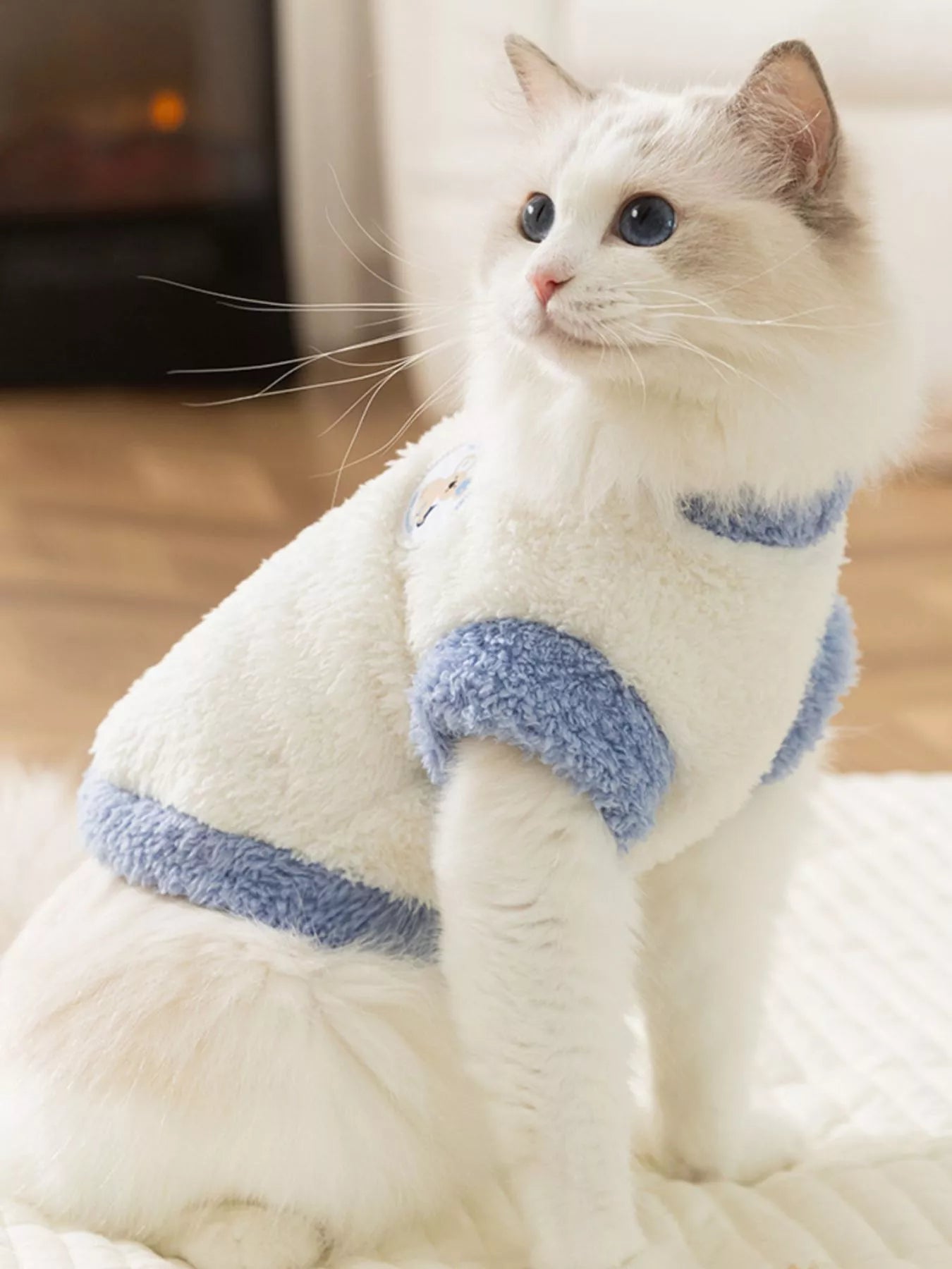 White plush pet sweater with light-blue sleeve cuffs and bear patch graphic