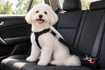 Adjustable pet car seat belt with black strap and metal buckle, dog sitting on seat