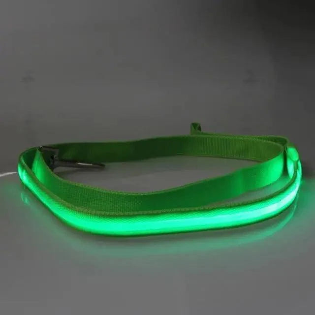 Adjustable pet car seat belt with neon green strap and glowing safety edge