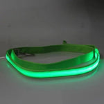 Adjustable pet car seat belt with neon green strap and glowing safety edge