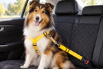 Adjustable pet car seat belt with yellow strap and metal buckle, featuring bow tie