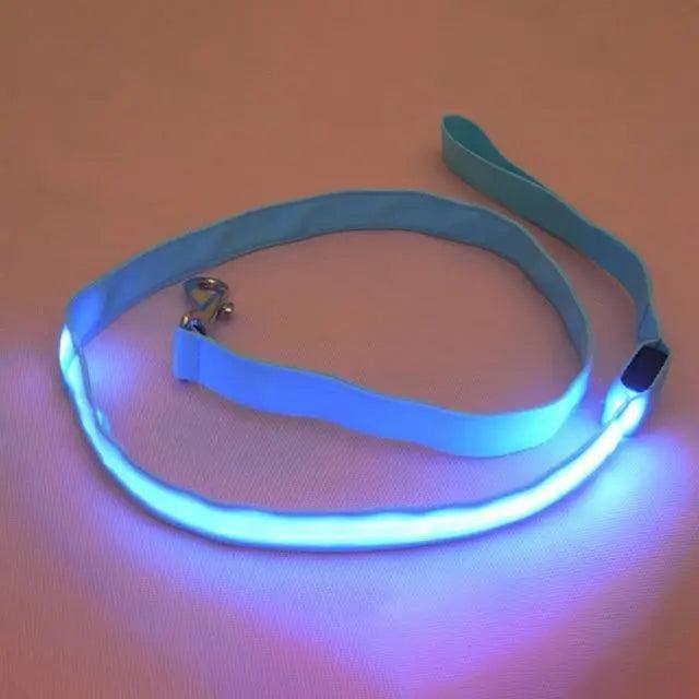 Adjustable pet car seat belt with blue strap and glowing safety edge