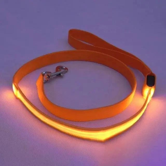 Adjustable pet car seat belt with orange strap and illuminated safety edge light