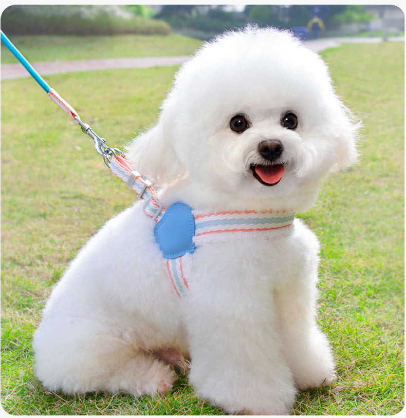 Breathable dog chest harness with blue heart pad and striped leash, on small white dog