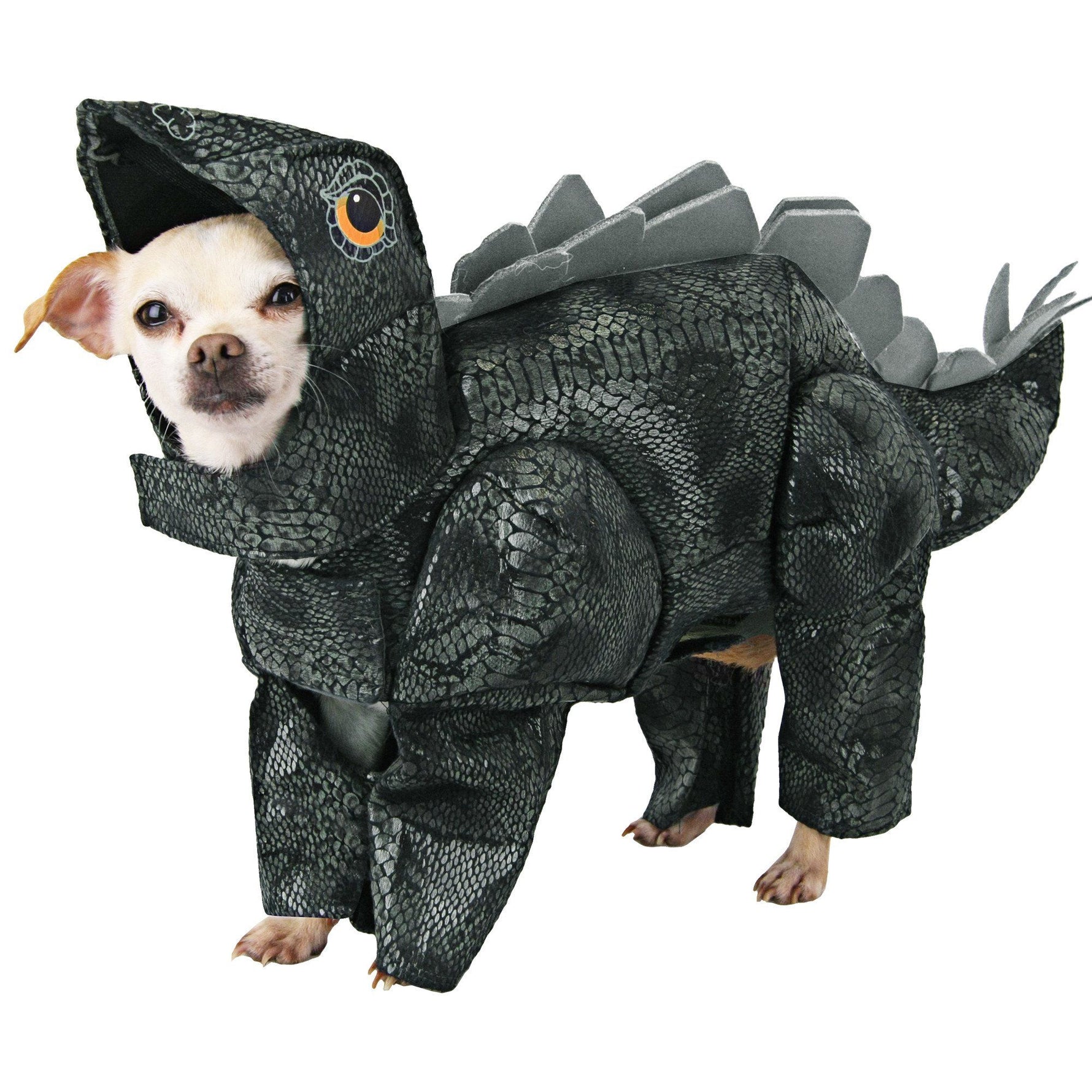 Stegosaurus dog costume with hood, dark green scales, and raised gray back plates