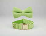 Apple green corduroy collar with attached bow tie and gold-tone buckle