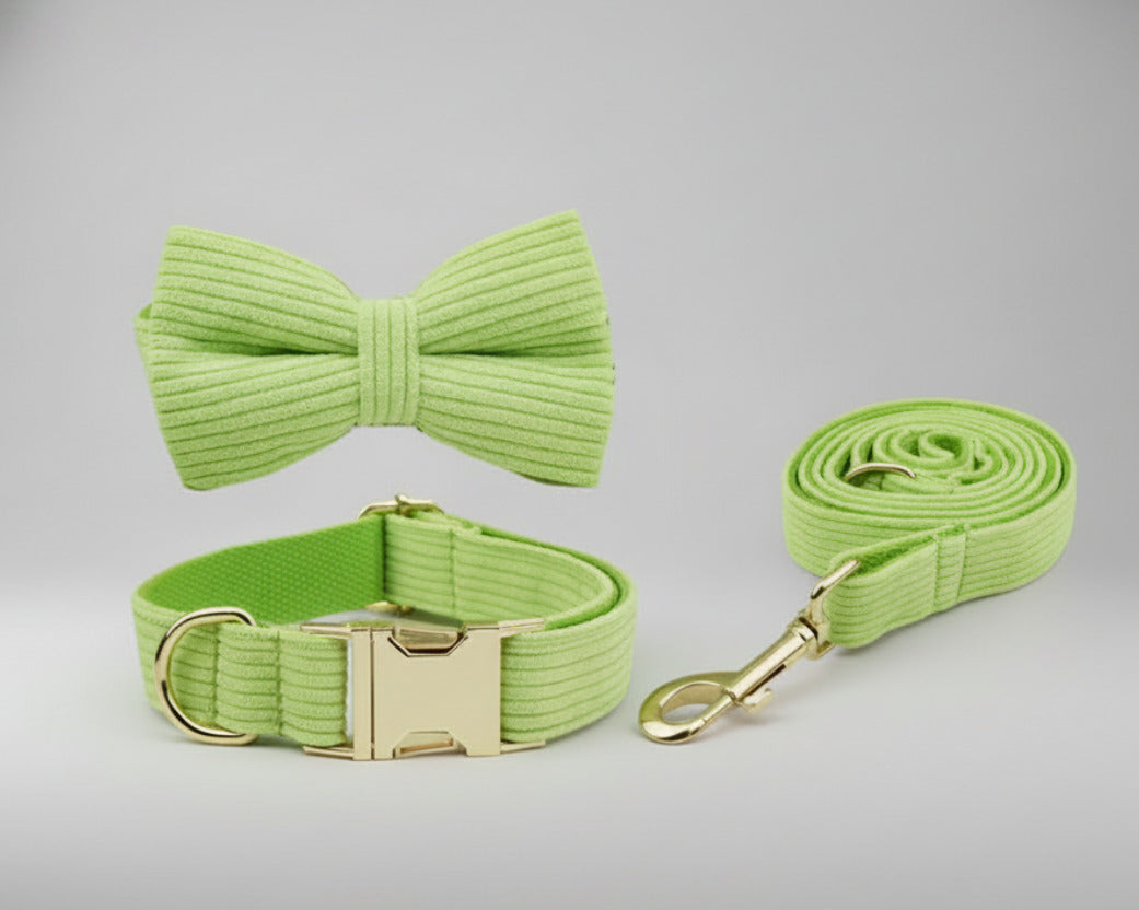 Apple green corduroy bowtie, collar and leash set with gold hardware